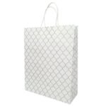 Aakriti Craft Paper Bags, Carry Bag For Wedding Party Craft Retail Packaging, Recycled Twist Handles Colorful White Gift Bags Shopping Bags | Small Size: 10 x 8 x 3 Inch (10 PCS)