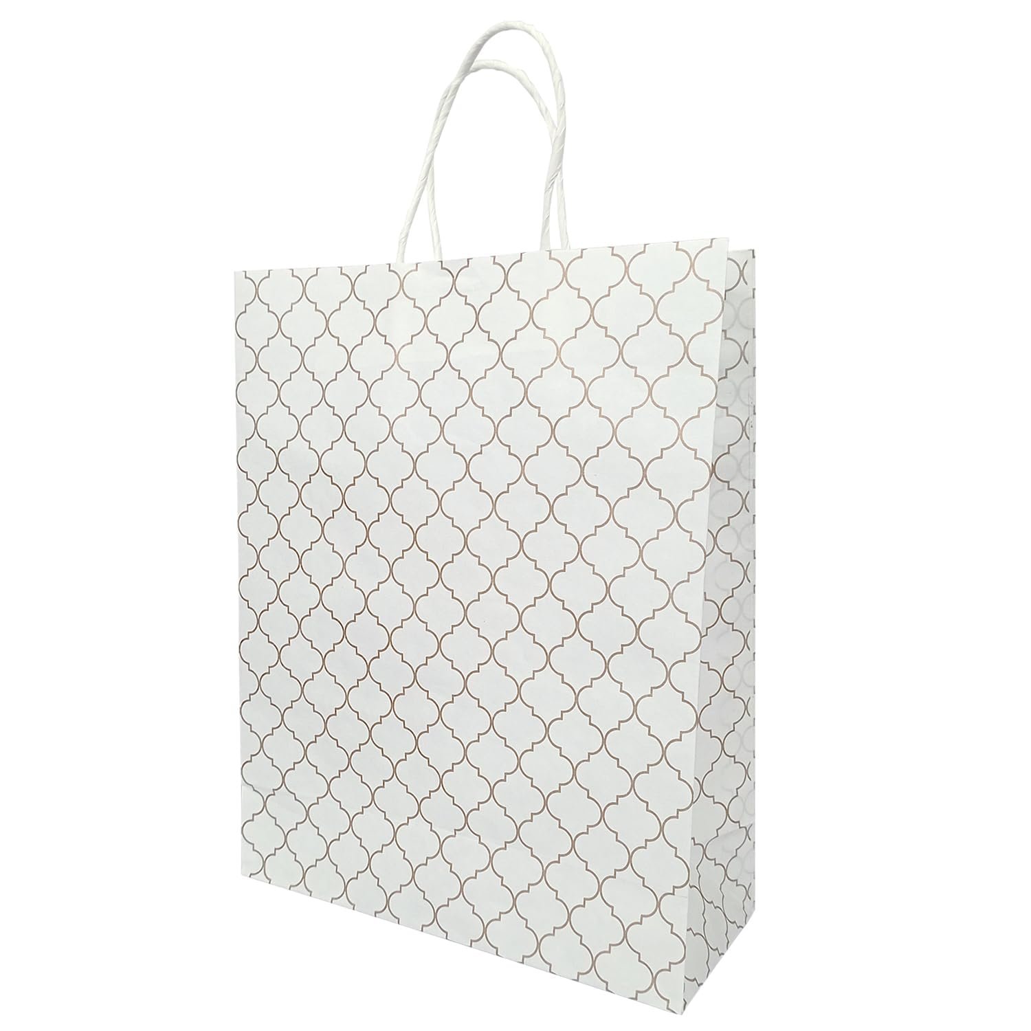 Aakriti Craft Paper Bags, Carry Bag For Wedding Party Craft Retail Packaging, Recycled Twist Handles Colorful White Gift Bags Shopping Bags | Small Size: 10 x 8 x 3 Inch (10 PCS)