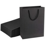 Amit Marketing Black Paper Carry Bag I 250 GSM Kraft Matt Lamination Paper Bags with Braided Cotton Handle I for Return Gifts Carrying Packaging Shopping Grocery Parcel Take Out – L10xW4xH12 Inch (10 Pcs)