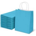 Aakriti Gift Bag Kraft Paper Bags With Handle For Birthdays, Weddings, and Parties Colorful, Durable, and Stylish Gift Packaging Bags, Perfect For Special Events 9.8 X 8 X 3.15 Inch (Sky Blue, 10)