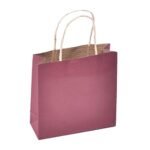 Sapco Gift Paper Carry Bag Pack of 10(Solid Brown)