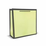 VESTTA -ELEGANCE REDEFINED Paper Gift Bag, 12 Inch (L) X 4.5 Inch (B) X 12 Inch (H), Plain Pastel With Black Border For Weddings, Birthdays, Diwali, Christmas With Gift Tags (Large, Green)