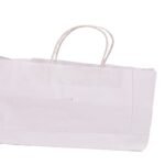 10X6 (Inches) Paper Carry Bag With Handle Without Printing (Pack Of 50)