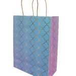 Skywalk Gift Bags-Small Paper Bags For Return Gifts-Party Favor Goodie Bags, Medium Carry Bags Size 7.5X3.5X10 Inches For Gifting, Paper Gift Covers- Paper Bags (Pack Of 5,Shell Badhni),Multi