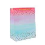 Skywalk Gift Bags-Medium Paper Bags For Return Gifts-Party Favor Goodie Bags,Medium Carry Bags For Gifting,Paper Gift Covers- Paper Bags(Pack Of 10,Golden Hearts)