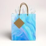 Sainet™ Gift Bags – Paper Bags For Return Gifts – Paper Gift Bag – Medium – Carry Bags For Gifting – Goodie Bags With Tissue & Thank You Card – Gift Covers – Pack of 50, Blue Ocean
