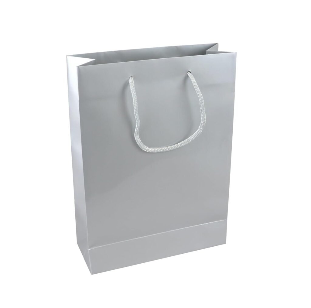 Amit Marketing Foiling Paper Bag with Handle I Plain Paper Carry Bags I for Return Gifting Shopping Packaging Diwali Corporate Event Weddings Birthday Party Festival Presents – L9XW4XH12 Inch (Silver, 10 Pcs)