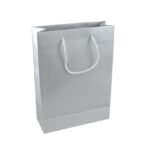 Amit Marketing Foiling Paper Bag with Handle I Plain Paper Carry Bags I for Return Gifting Shopping Packaging Diwali Corporate Event Weddings Birthday Party Festival Presents – L9XW4XH12 Inch (Silver, 10 Pcs)