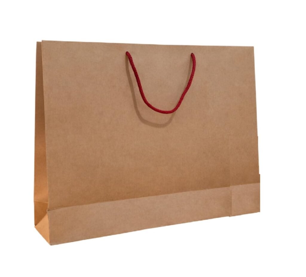 Reusable Handmade Paper Shopping Bags with Handles for Weddings & Small Business| Carry Bag | Gift Bag | Shopping | Recyclable Bag |12x16x4 Inch | Pack of 10