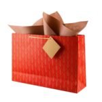 Birch & Co. Gift Bags – Large Paper Carry Bags for Gifting With Tissue and Thank You Card – Pack of 5, Red, 420 Gram