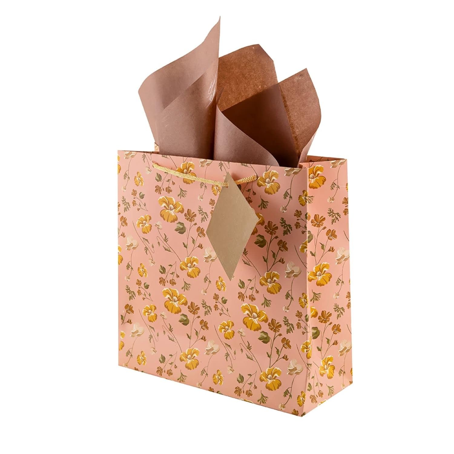 Birch & Co. Gift Bags – Medium Paper Carry Bags for Gifting With Tissue and Thank You Card – Pack of 5, Peach
