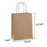 Aakriti Brown Kraft Paper Gift Bags with Handles | Medium Size Reusable Shopping, Grocery, Merchandise, Retail, Party & Wedding Favor Bags | Eco-Friendly Packaging for Gifts, Events & Daily Use | 10″x4″x12.5″ (Pack of 10)