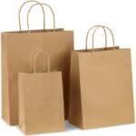 HOUSAI Kraft Paper Bags with Handles Pack of 30 | Brown Gift Bags with Twisted Paper Rope Handles | 10 x 5 x 15 Inch Medium Size | Reusable Shopping, Retail, Grocery, Party Favor & Gift Packaging Bags