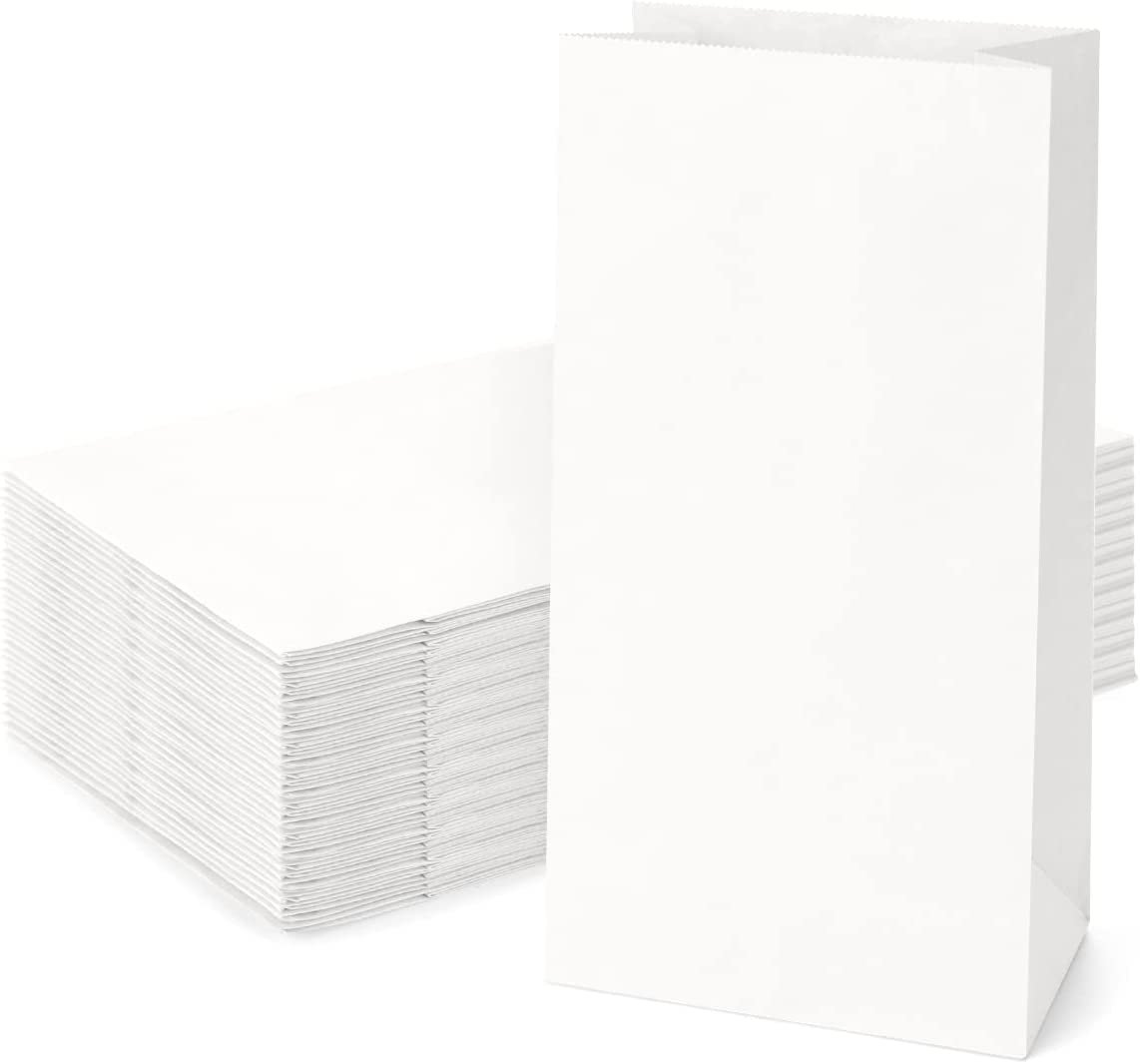 HOUSAI White Kraft Paper POUCH, 8.5 x 5 x 11.5 Inch (Large), Pack of 50 | Durable Gift, Shopping & Goodie Bags for Retail, Party Favors & Takeaway Packaging,No Handle
