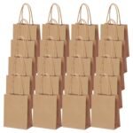 Plain Brown Paper Bag with Braided Cotton Handle I 150 GSM Virgin Kraft Paper Carry Bags I Disposable, Eco-Friendly I for Return Gifts Shopping Grocery Parcel – L10xW3xH14 Inch (10 Pcs)